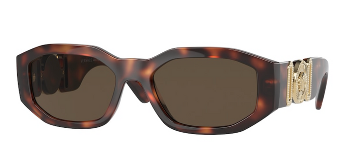 Havana brown tortoiseshell sunglasses with gold temple detail and dark lenses